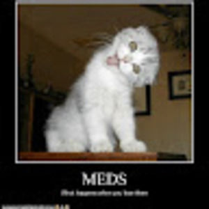 Meet your Posher, Derek